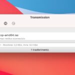 torrent in download client trasmission mac